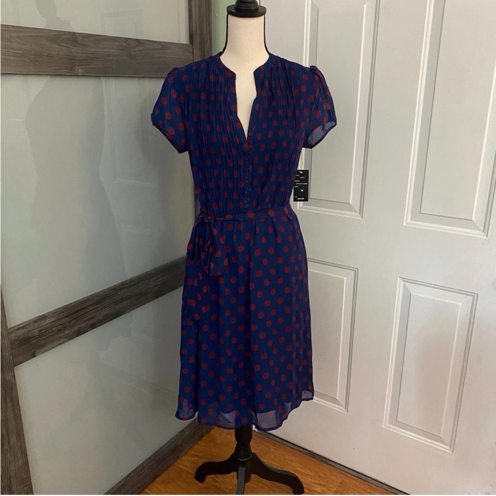 Robert Louis polka dot dress